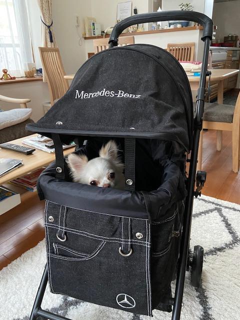 メルセデス・ベンツ(純正) ペットカート ブラックデニム Mサイズ の