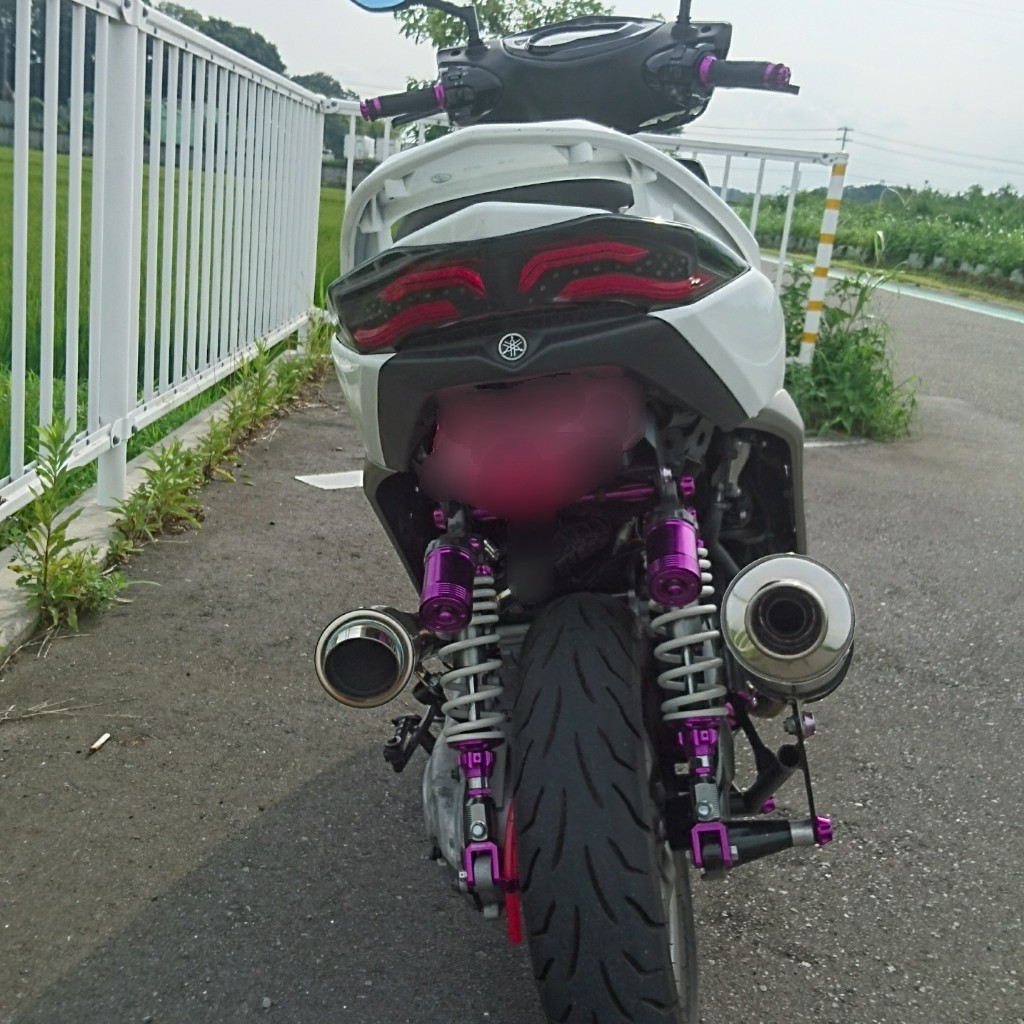 シグナス 4型 タケガワ テールランプ スモーク 社外 LEDテールランプ