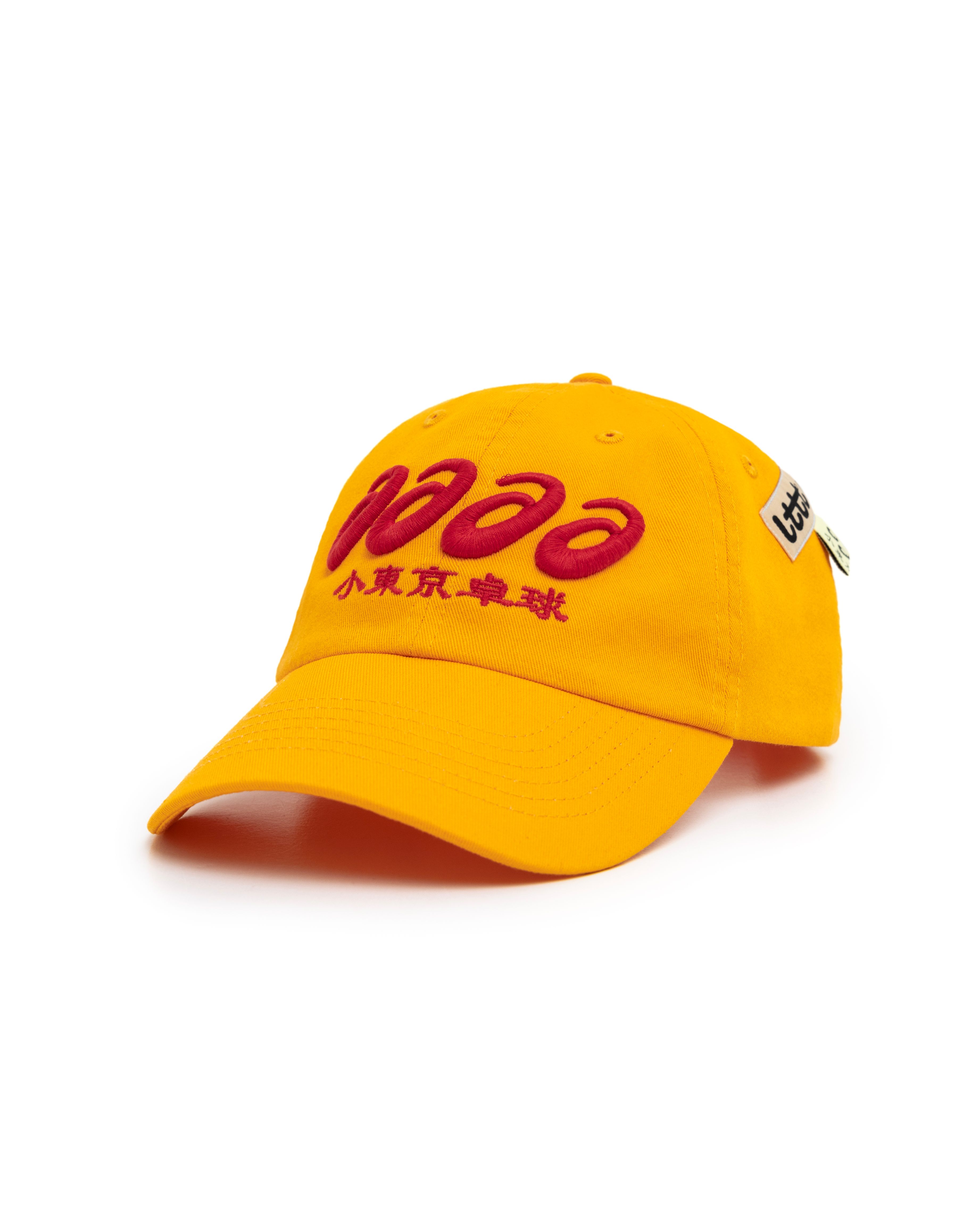 LTTT - ASICS AAAA CAP • LTTT