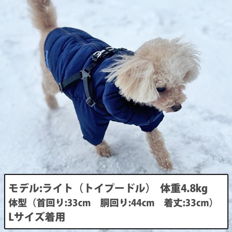 恋いちごワンピースのセットイントレーナー犬服 （胴回り33〜49センチ