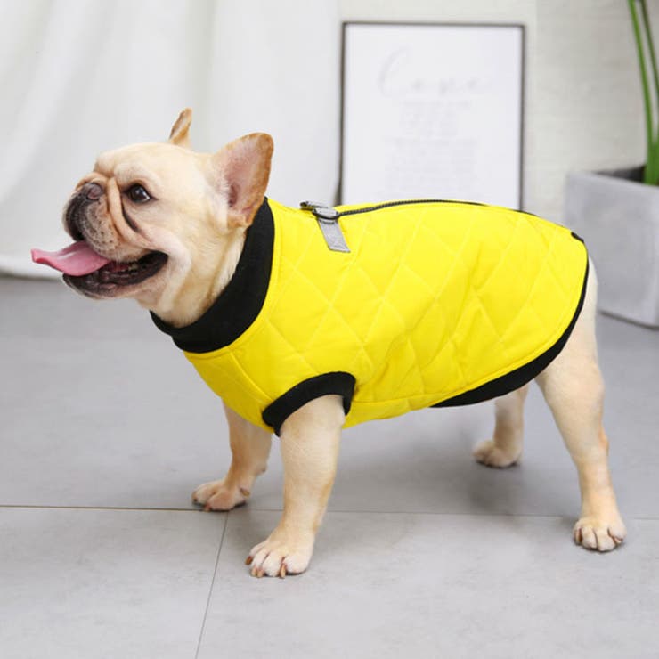 犬服 ペット服 ダウン[品番：KX000000729]｜CLARAH【WOMEN】（クララ