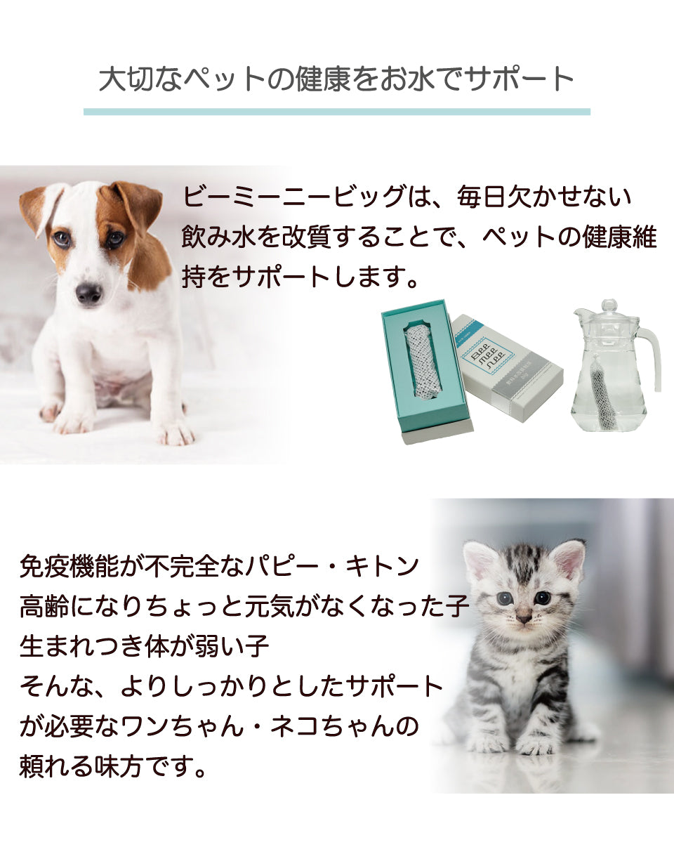 BeeMeeNee ビーミーニー 飲料水改質触媒 ビッグ dog – beemeenee