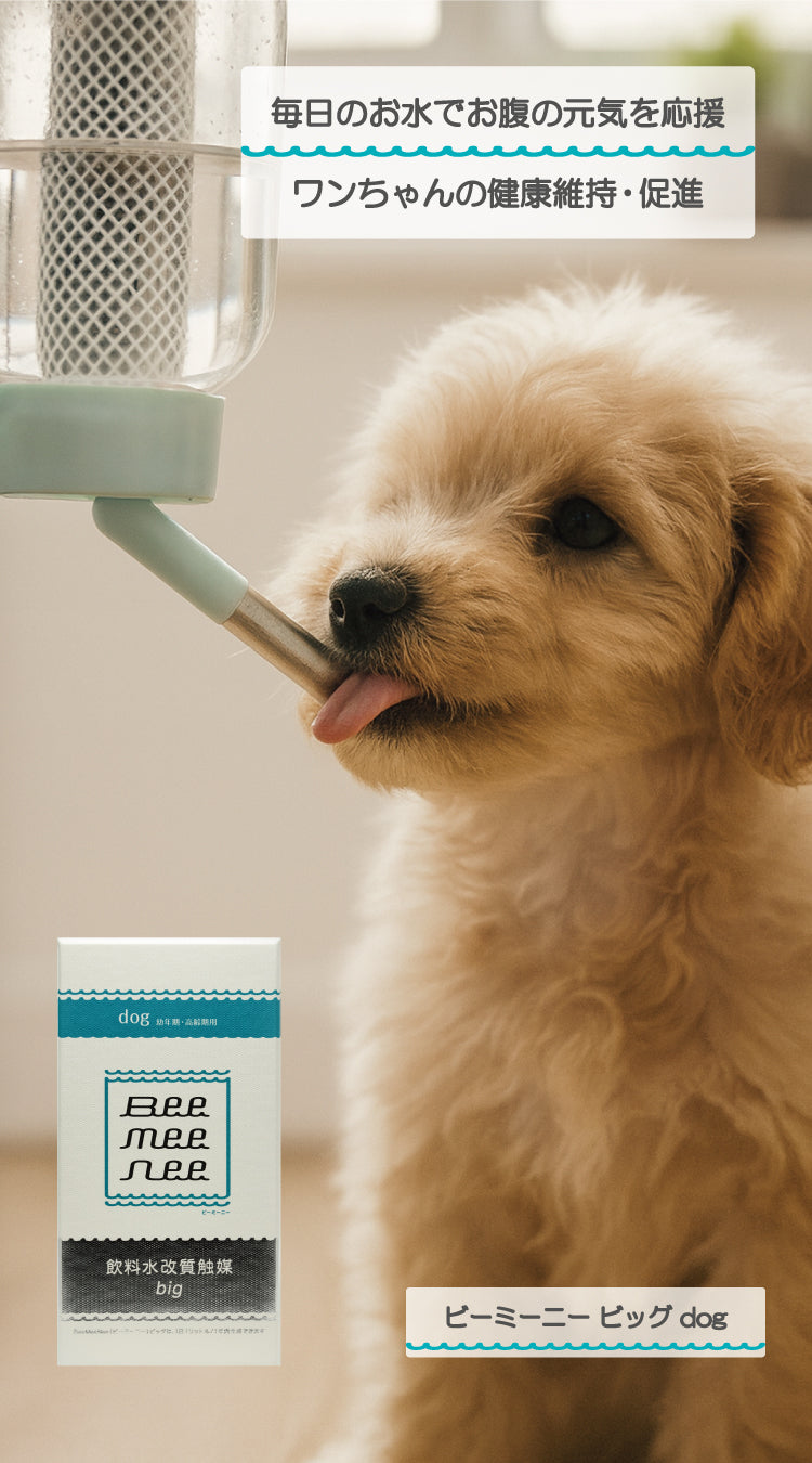 BeeMeeNee ビーミーニー 飲料水改質触媒 ビッグ dog – beemeenee