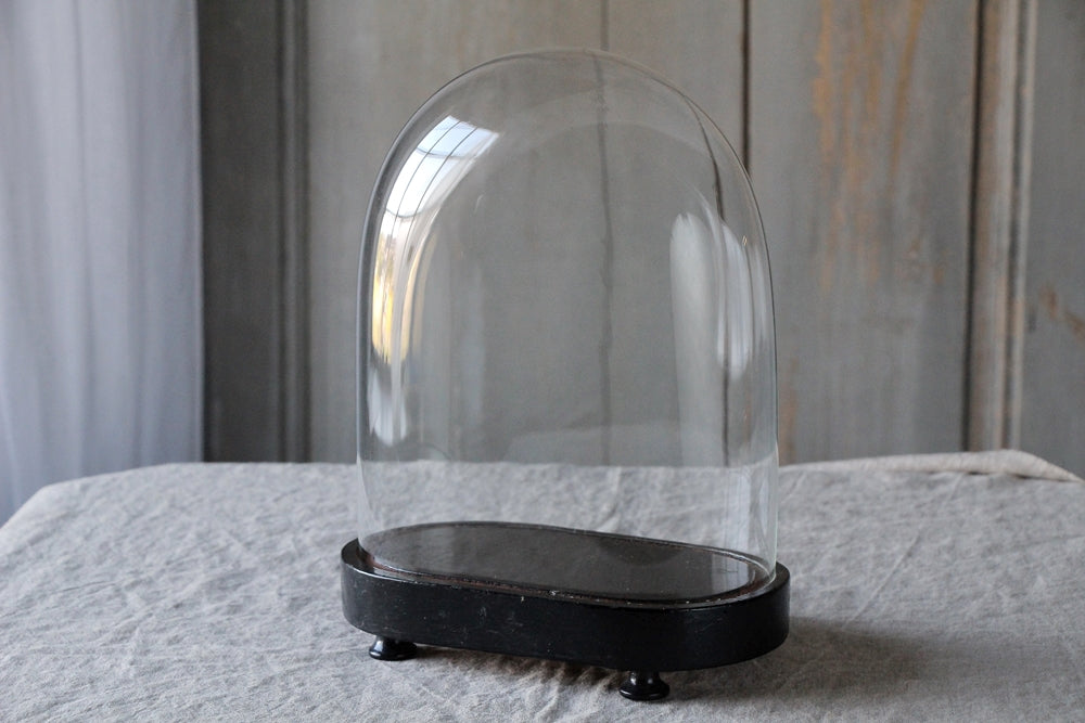 ナポレオントワ（3世）ガラスドーム（高さ30cm） フランスアンティーク