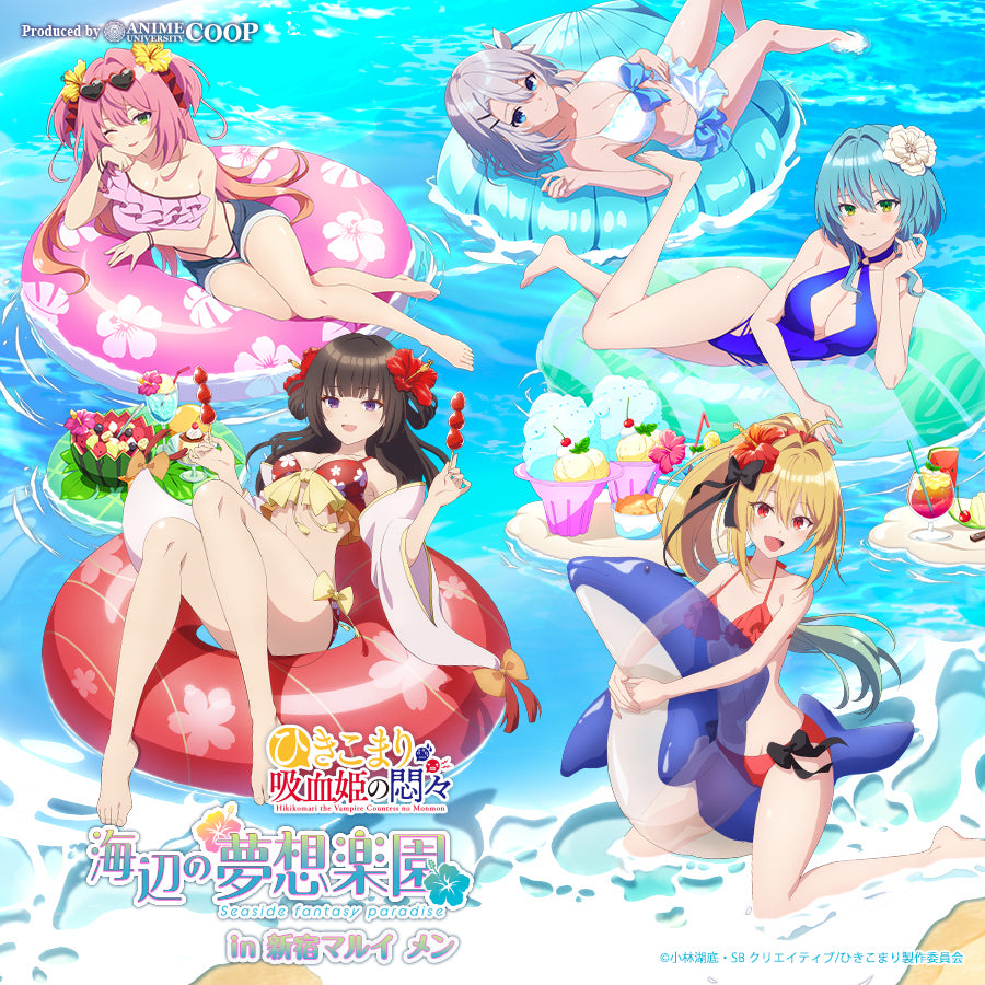 ひきこまり吸血姫の悶々 クリアファイル 特典 Blu-ray | TVアニメ