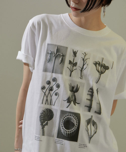 SALON adam et ropé(サロン アダム エ ロペ) / 【WEB限定】【KARL