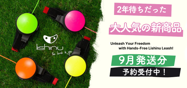 Lishinu3 オリジナル – LISHINU JAPAN