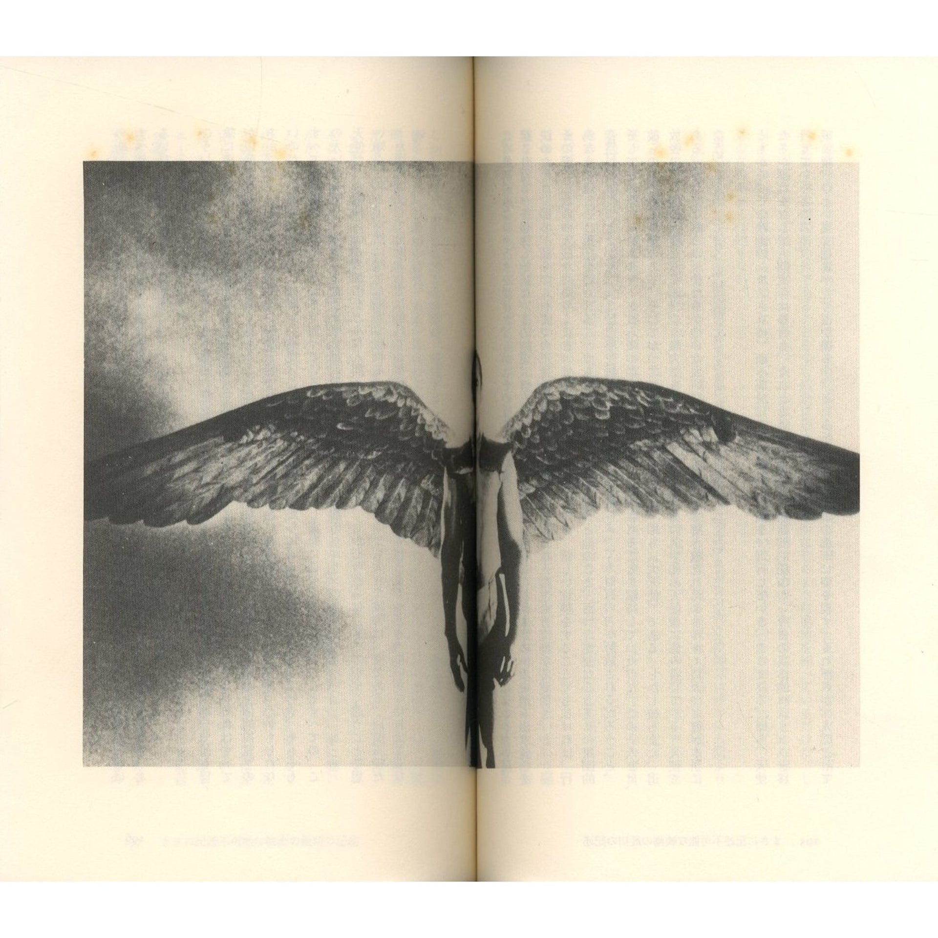 A MAGAZINE #6 CURATED BY VERONIQUE BRANQUINHO | KOMIYAMA TOKYO GR8