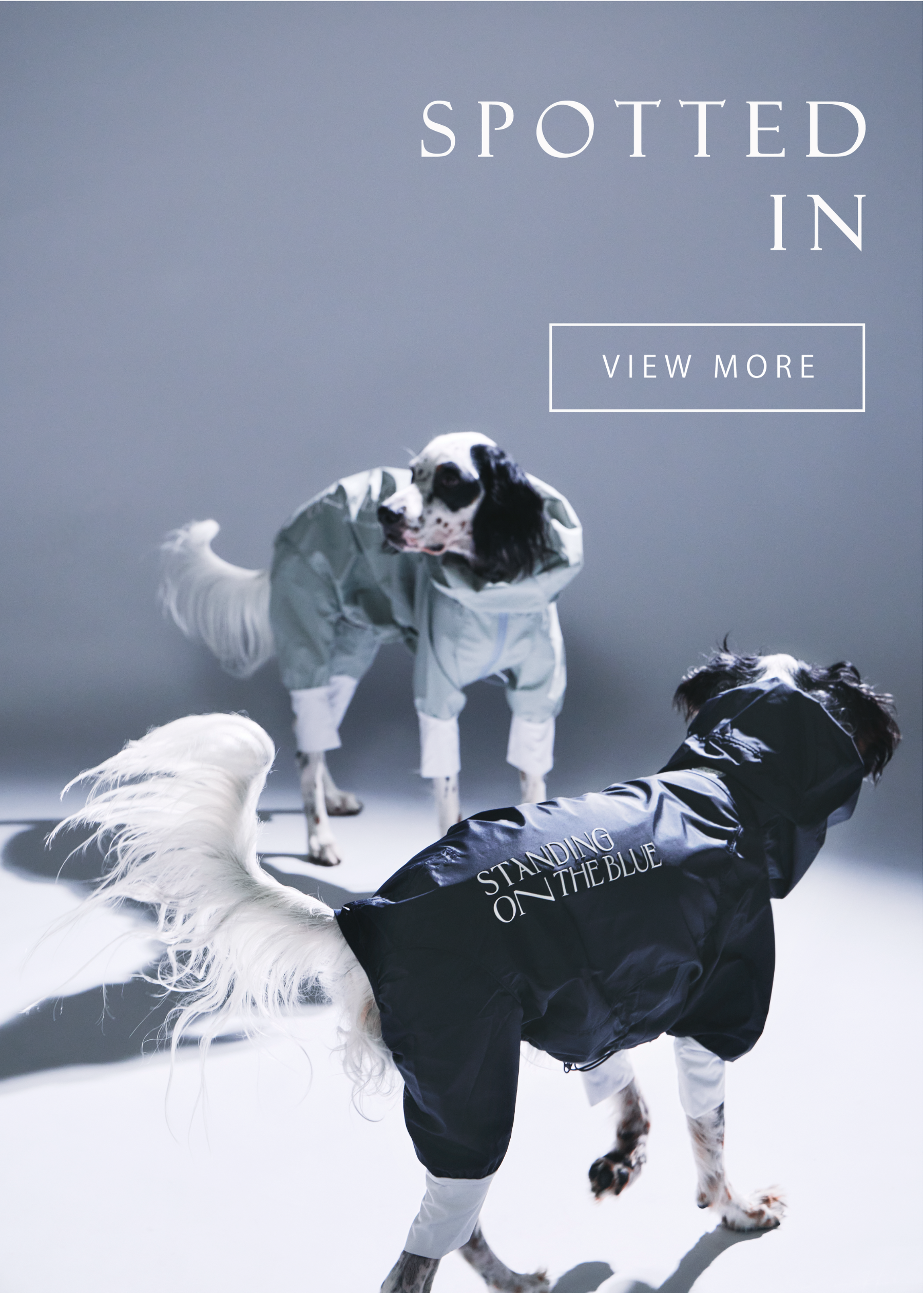 STANDING ON THE BLUE 公式オンラインショップ