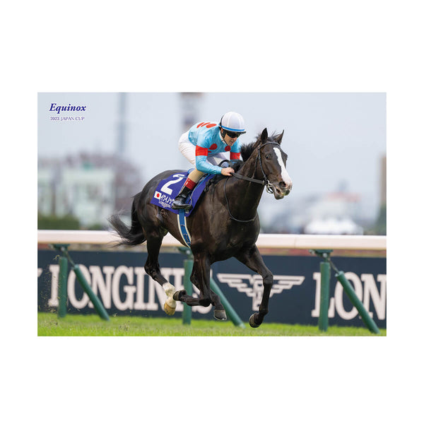 キャンバスボード イクイノックス ジャパンカップ2023 - 競馬グッズの