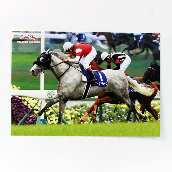 キャンバスボード ゴールドシップ winter - 競馬グッズの通販サイト