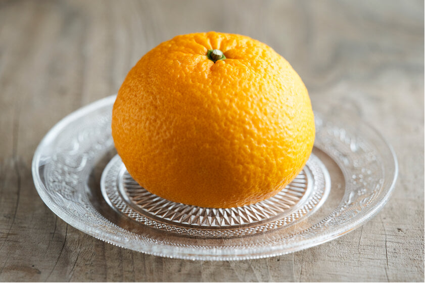 スルガ甘夏 | 静岡市清水で150年続く柑橘栽培「青木農園」