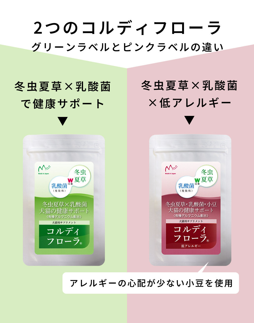 免疫力・健康維持・腸内環境維持に 【コルディフローラ】 日本製