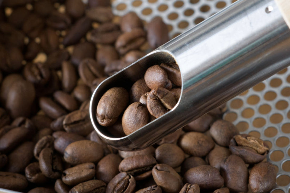 コロンビア ラス・マルガリータス農園 スーダン・ルメ ナチュラル