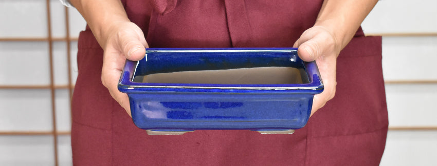 長角・長方（長方形）の鉢販売｜盆栽鉢の盆栽妙 – 盆栽妙 本店