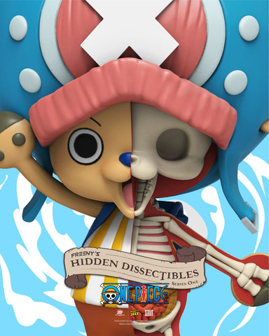 Meet The Straw Hat Crew from One Piece!