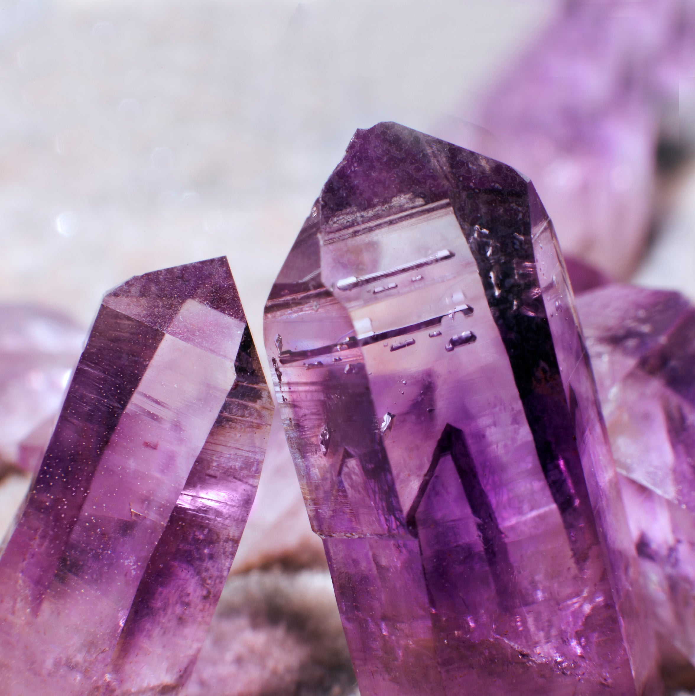 2月 誕生石 – COLETTE GIFT