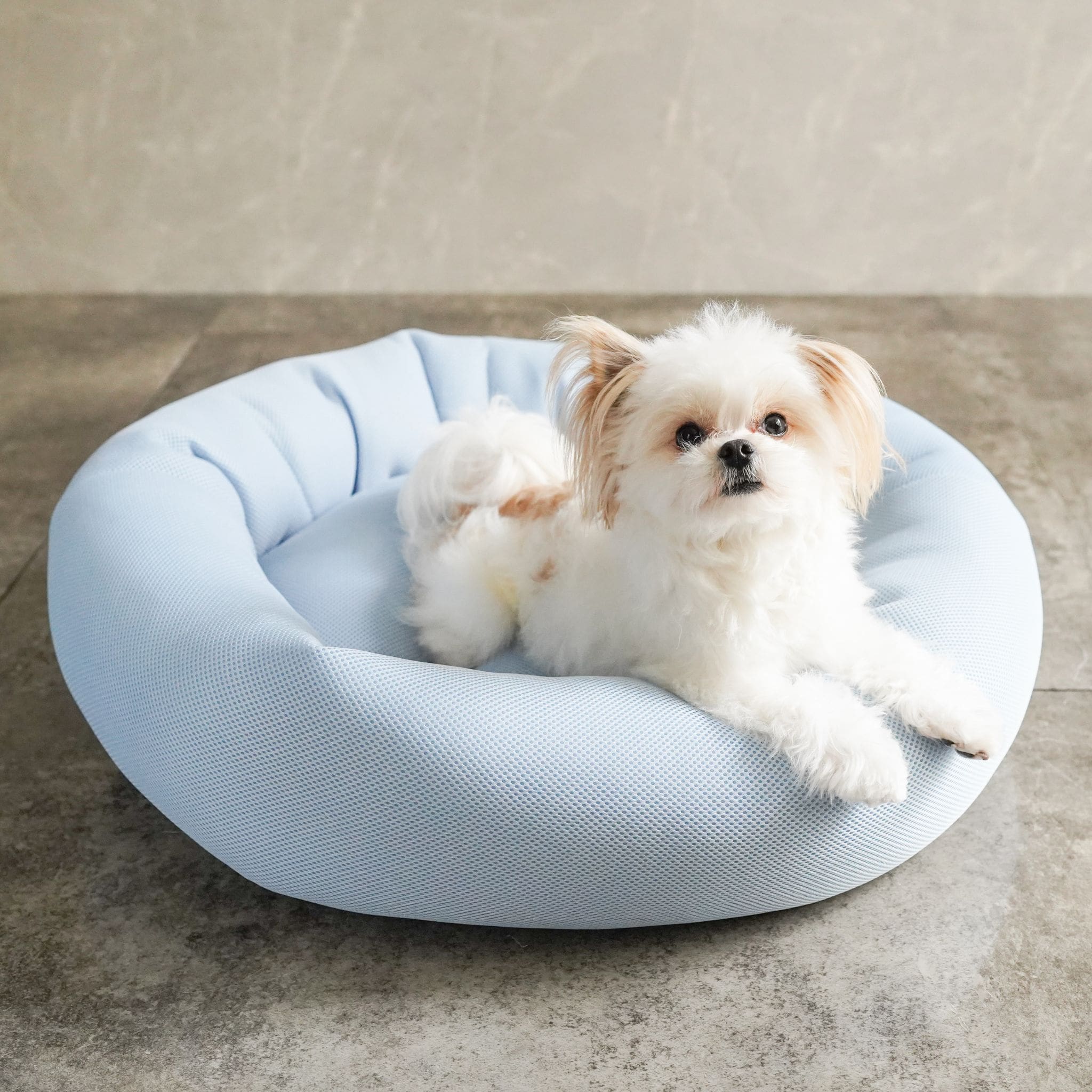 compressed_e6720055-9bc9-4f4d-