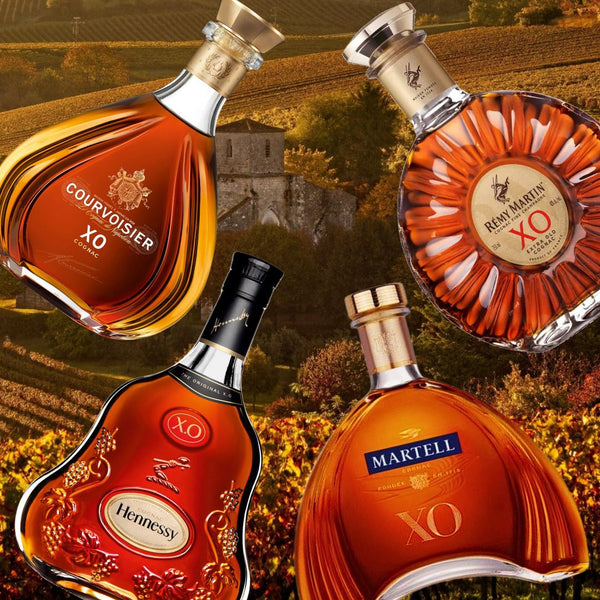 Taste Testing XO's From Four Iconic Cognac Houses: Hennessy XO