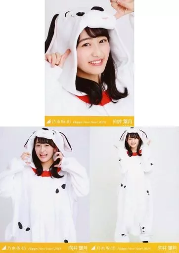 駿河屋 - 【買取】◇向井葉月/「Happy New Year! 2018」Web Shop限定生