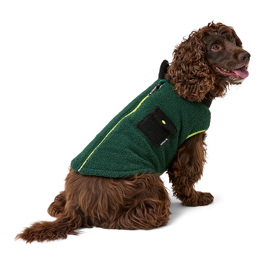3 Peaks Shower Resistant Sherpa Dog Jacket Green | Pets