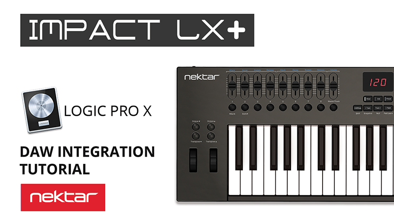 IMPACT LX61+ USB MIDIキーボード Amazon | Nektar Technology IMPACT