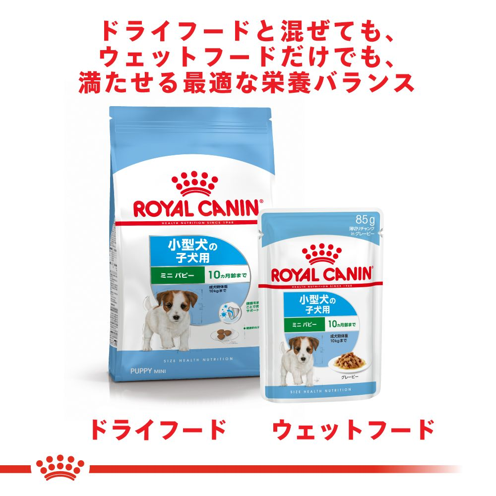 みぃ ロイヤルカナン ミニインドアパピー10kg×2 2つ目 ロイヤルカナン