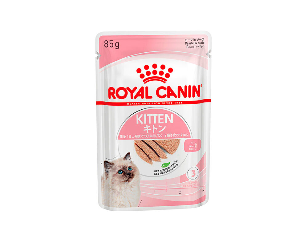 メインクーン（子猫用 ドライ）【マイ ロイヤルカナン限定】 | Royal