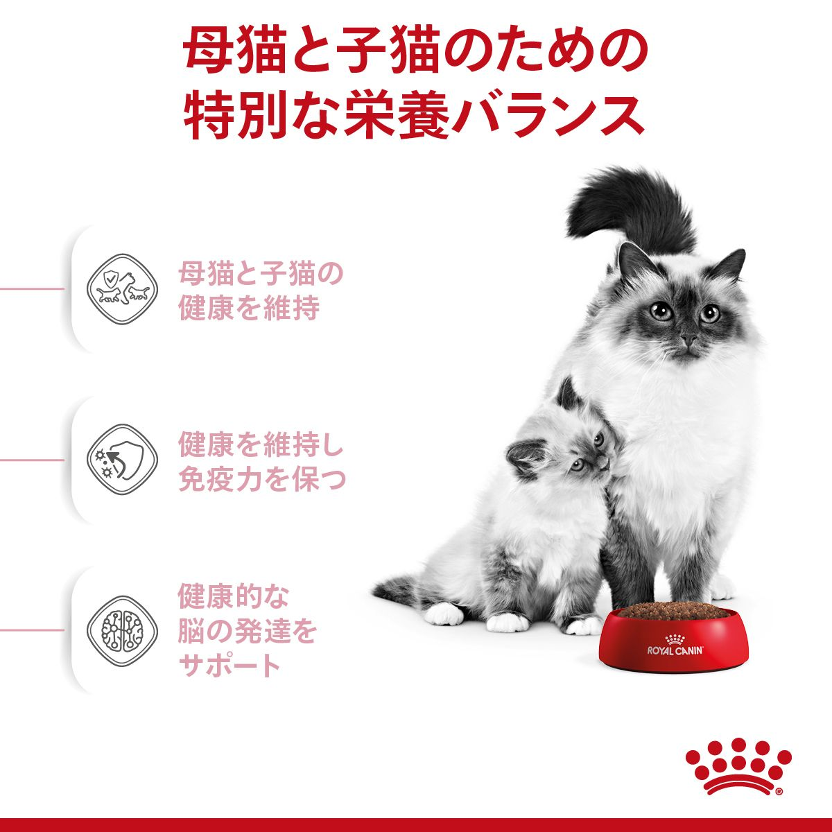 マザー & ベビーキャット（子猫/母猫用 ドライ） | Royal Canin JP