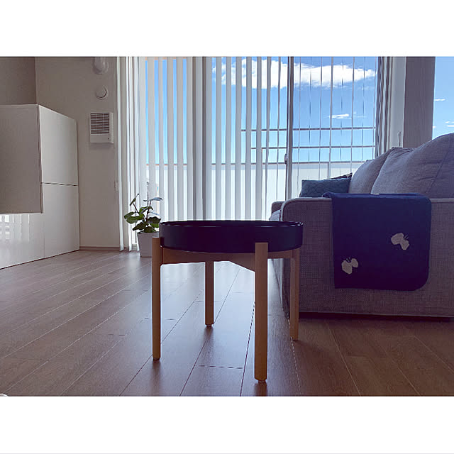 IKEA×HAY YPPERLIG イッペルリグ コーヒーテーブル スコグスタ付 IKEA