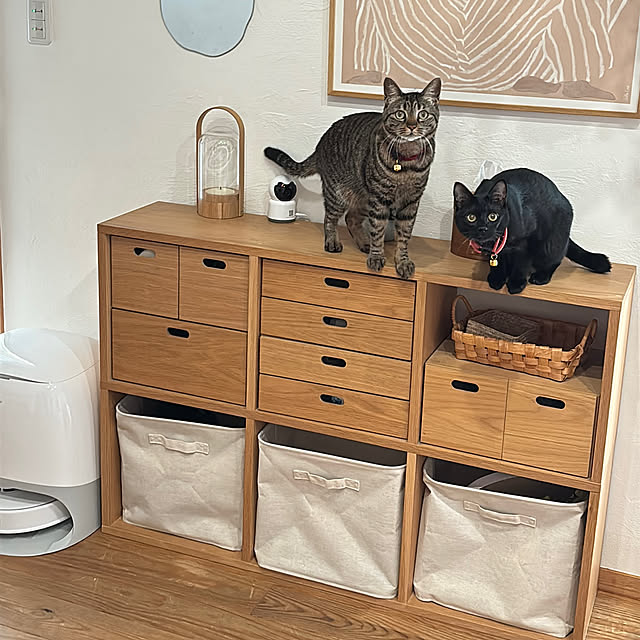 無印スタッキングチェスト猫用 猫 無印良品スタッキングシェルフの