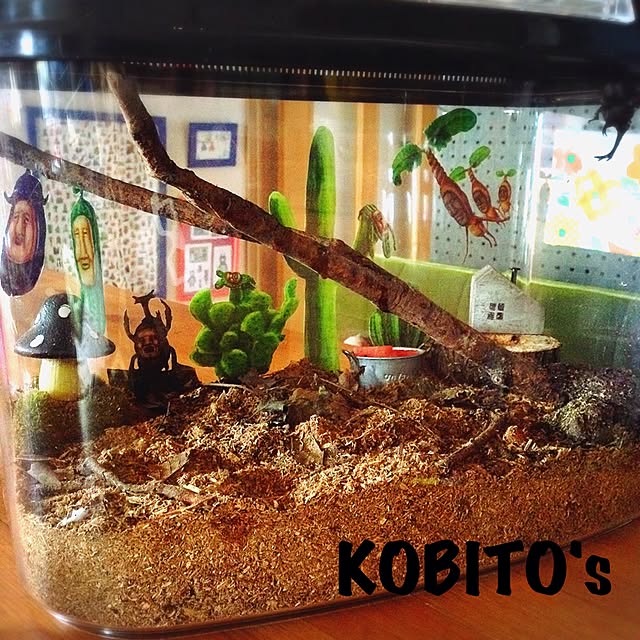 よしちゃん3個セット ⑦広い大きいカブトムシ用飼育ケース【DIY】 よし