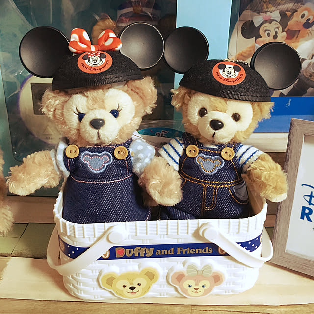 ダッフィー Mサイズ シェリーメイ Sサイズ ぬいぐるみバッチ