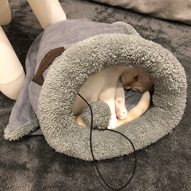 ハリネズミ寝袋部屋んぽソファE