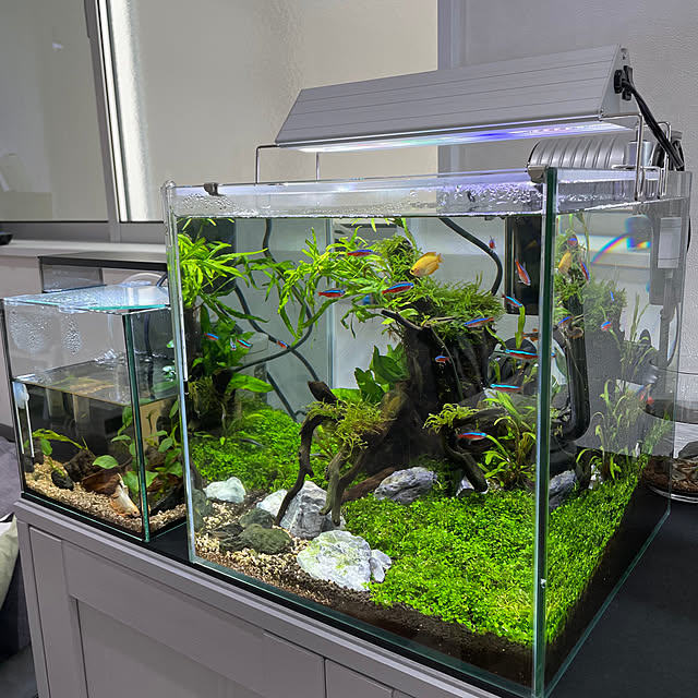 ADA 水槽 30cmキューブ キューブガーデン ライト セット GEX 龍王石