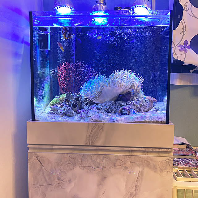 大型）オーバーフロー水槽 東日本用 クロミス60 ノーマルセット