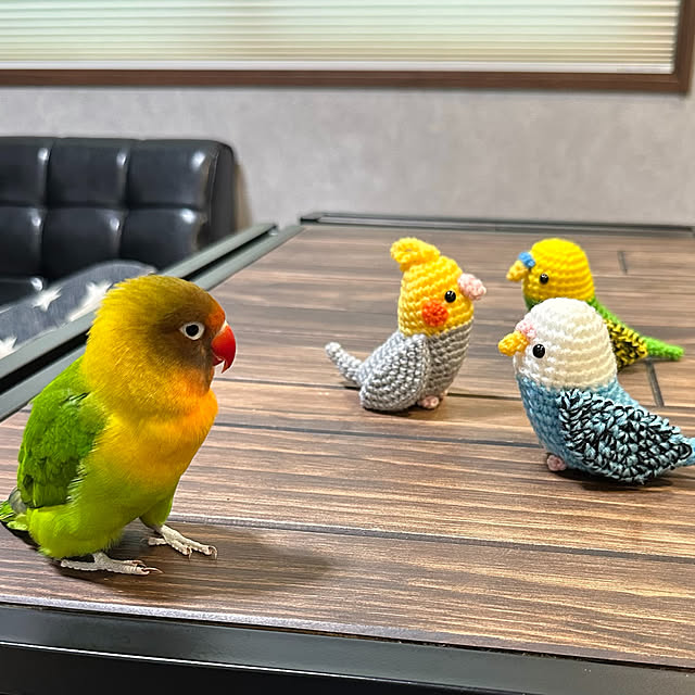 あみぐるみ ほしみつきのインテリア実例 ｜ RoomClip（ルームクリップ）