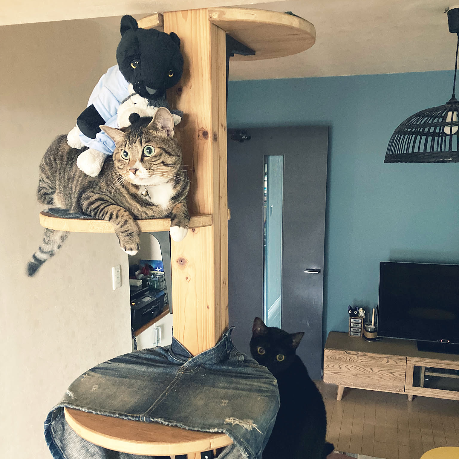 IKEA イケア ラッチョ 黒猫 ぬいぐるみ 青いゴーグル付き IKEA イケア