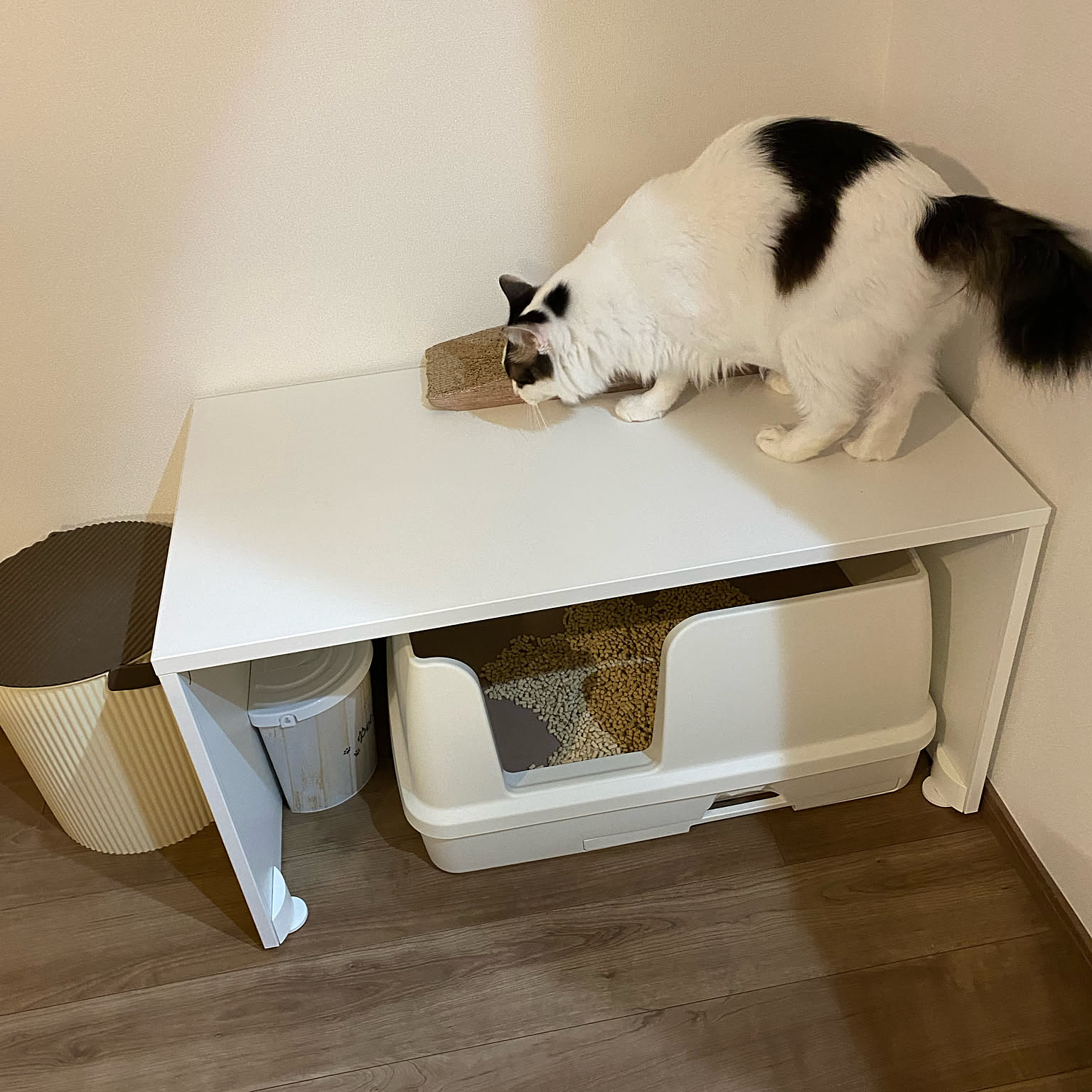 デオトイレ快適ワイドにぴったりな猫トイレカバーストッカー付き(無塗装)