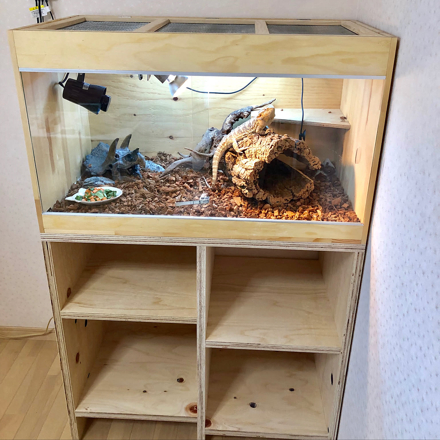 爬虫類用木製ケージ大型手作り