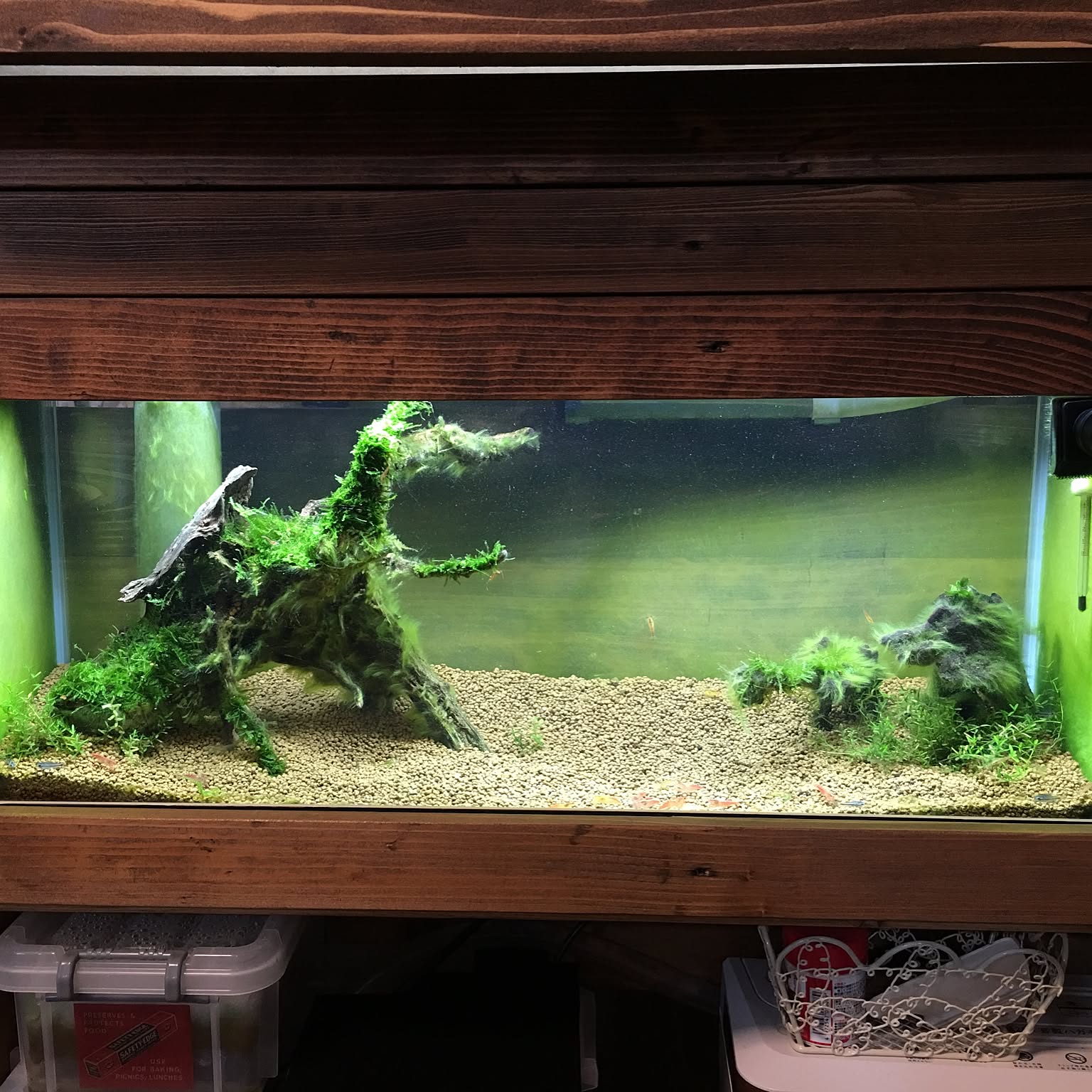 MMW-5602 マシンガンウッドレイアウトセット 60cm水槽用 流木 【公式通販】