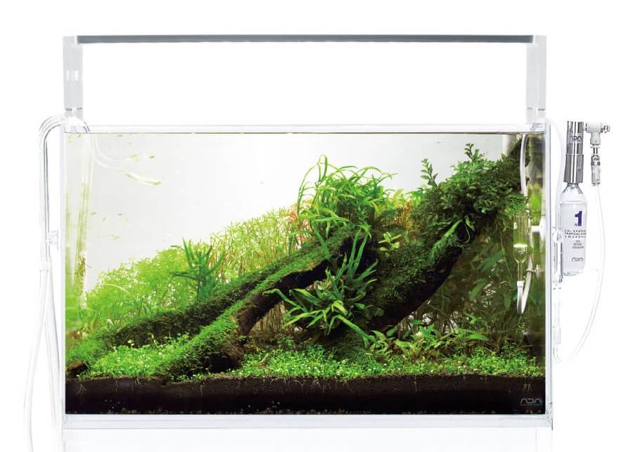 ADA 60cm キューブガーデン 30㎝キューブガーデン 注水しますた #ADA