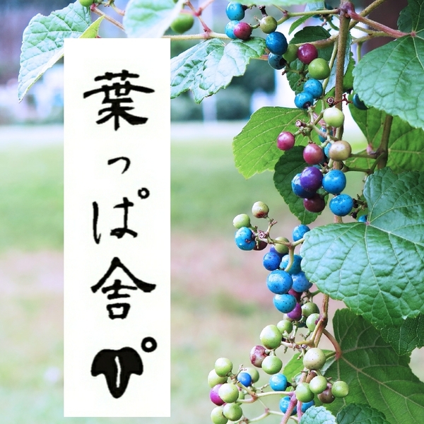 葉っぱ舎の通販 - たべるとくらすと