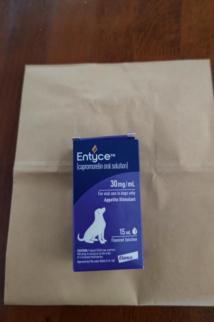 エンタイス15mLレビュー｜犬猫ペットのお薬通販うさパラ