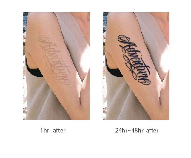 送料無料】【英文アドベンチャー】半永久ハーブタトゥーシール 3枚