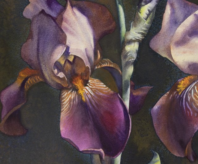 絵画 アイリス 人気アーティスト 絵画 アイリス 人気アーティスト