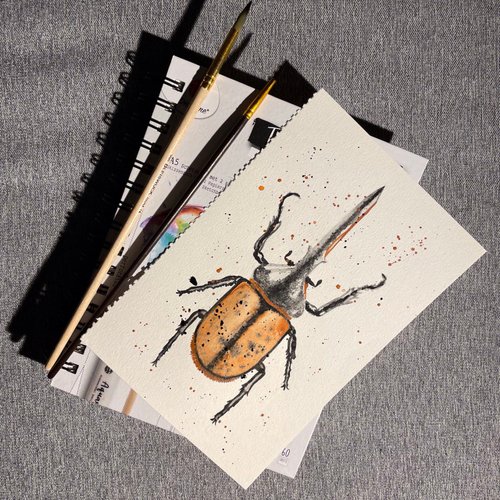 ポスト型はがき/2008年/夏 カブトとクワガタ 夏のポスト型はがき