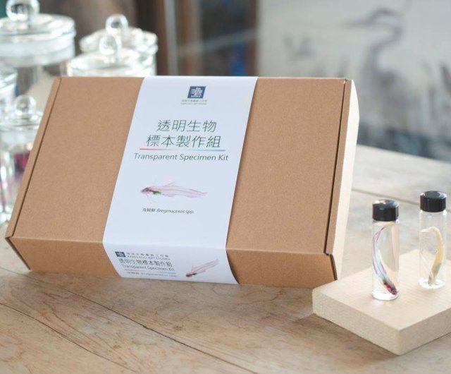 台湾 透明生物標本作製キット（特別バージョン） - Transparent Specim