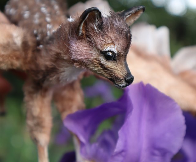 アゼルバイジャン 鹿の翼を持つファンタジー動物のぬいぐるみ！ ポーズ