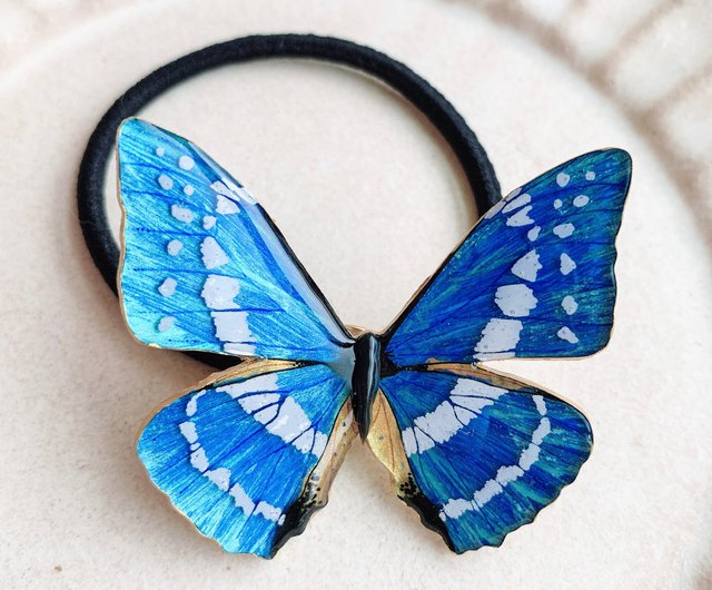 モルフォ蝶 標本 セット 【公式通販】